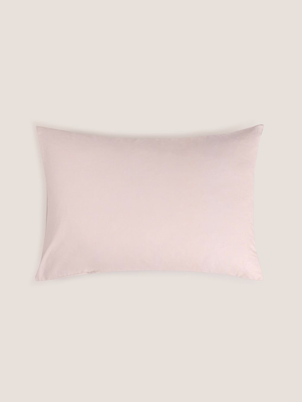 ציפית כותנה