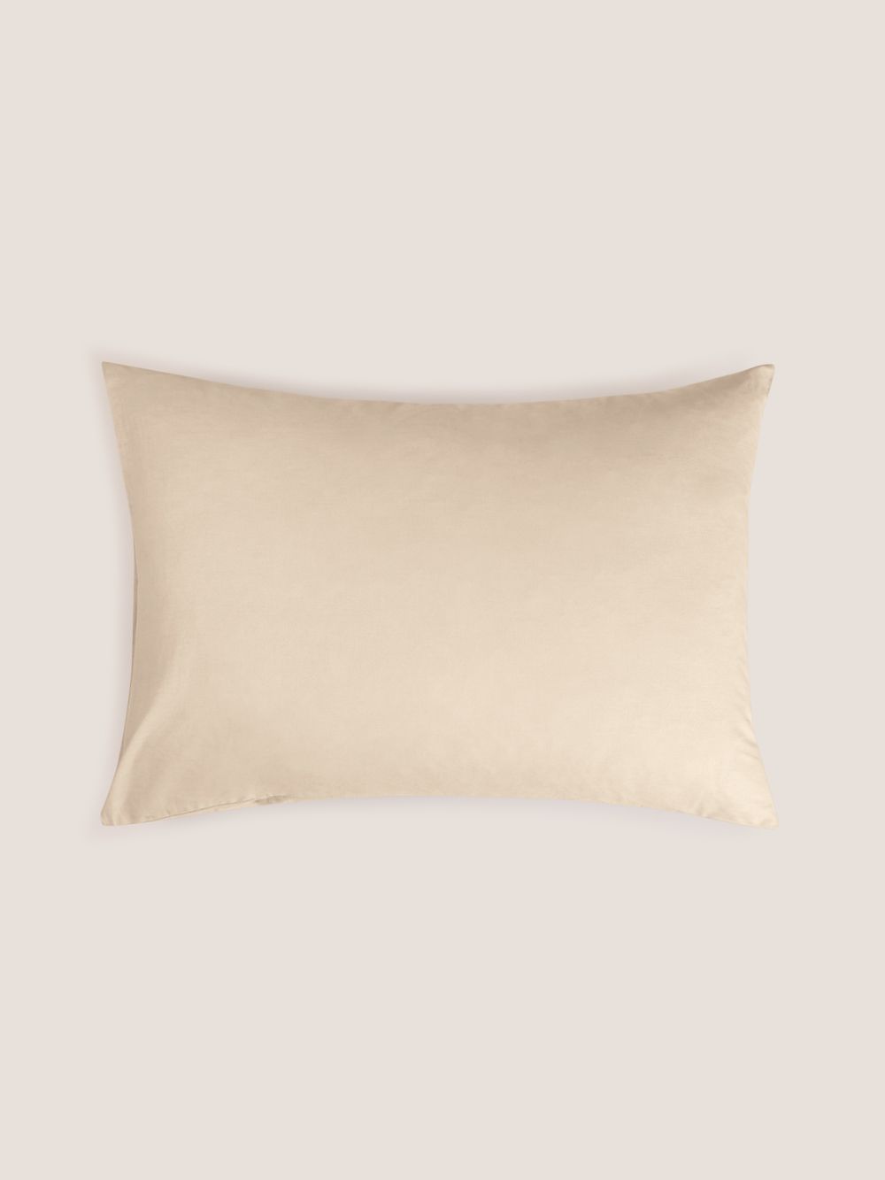 ציפית כותנה