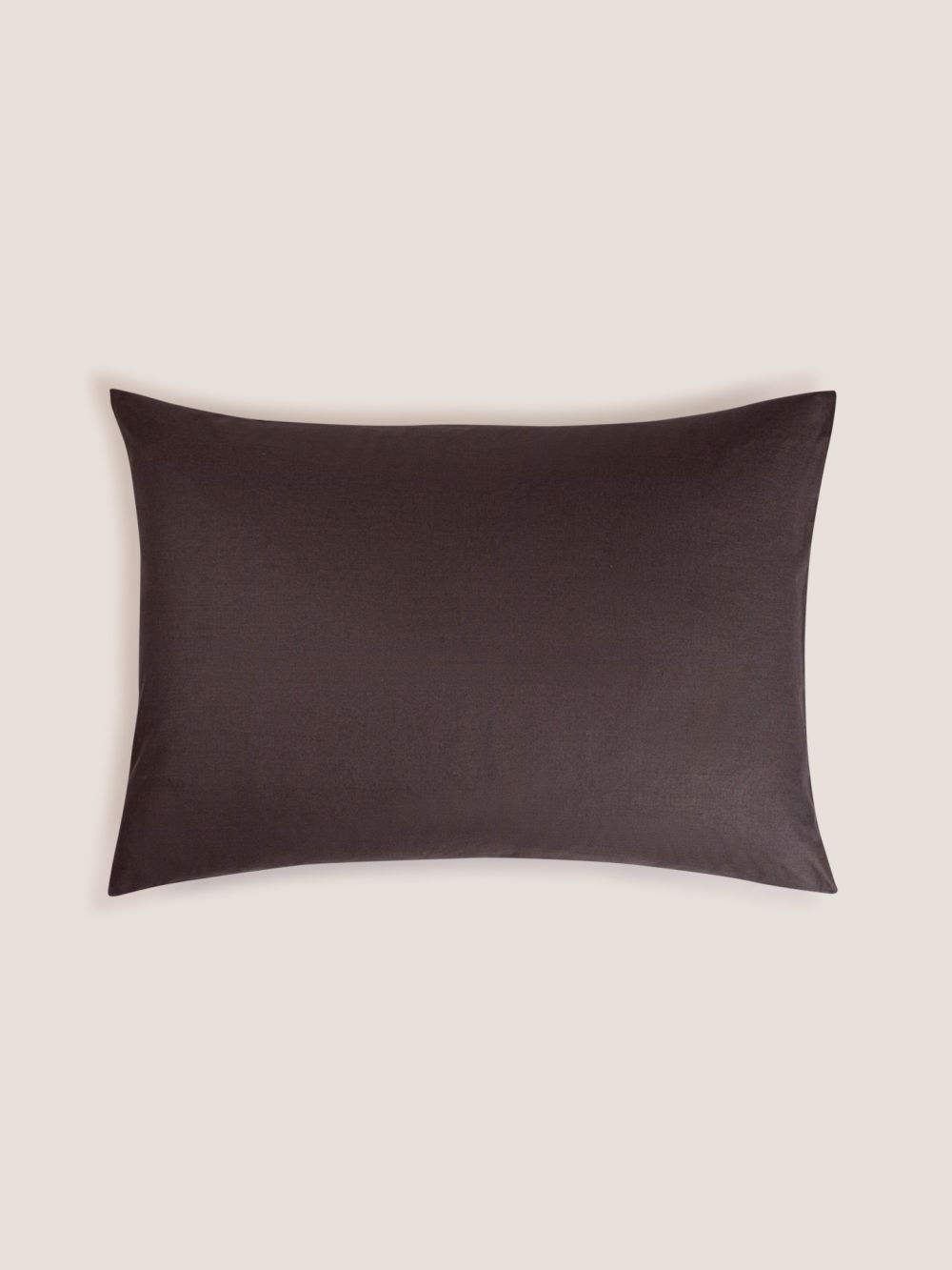 ציפית כותנה