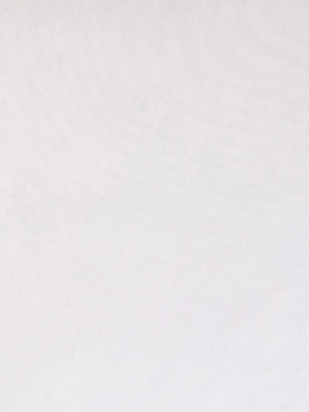 ציפית ג’רזי