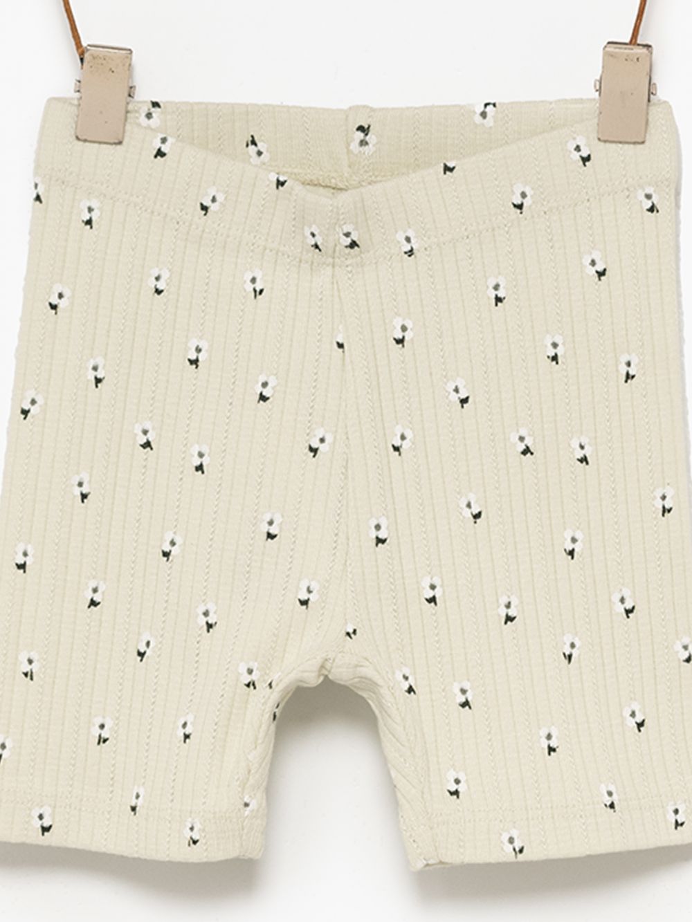 טייץ פוינטל קצר