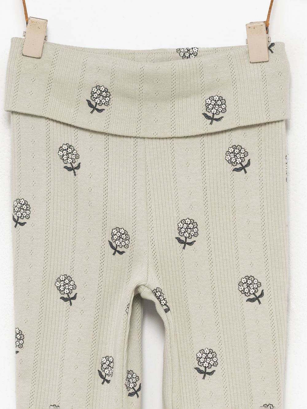 מכנסי פוינטל