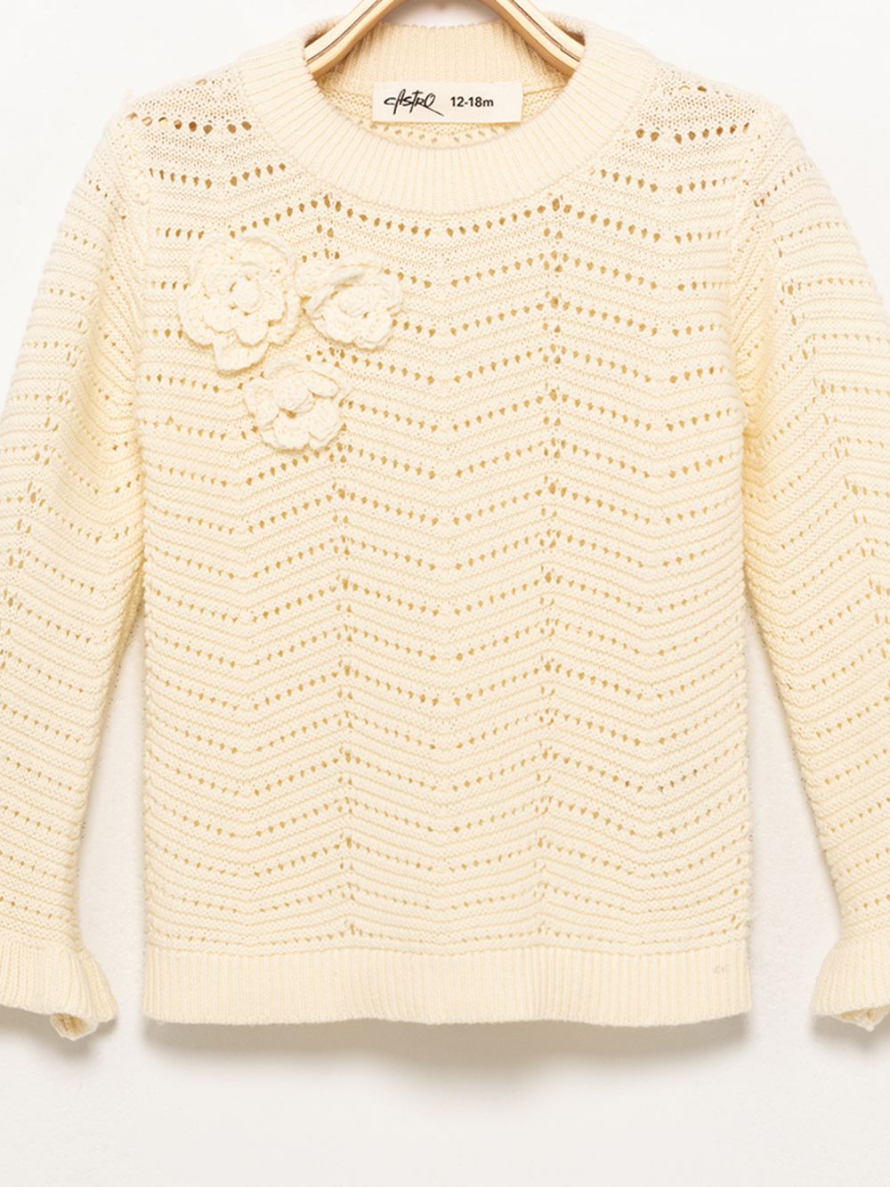 חולצת סריג מעוטרת