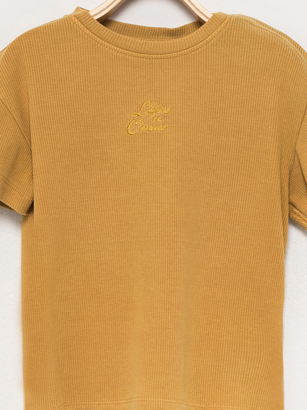 טי ריב שטופה