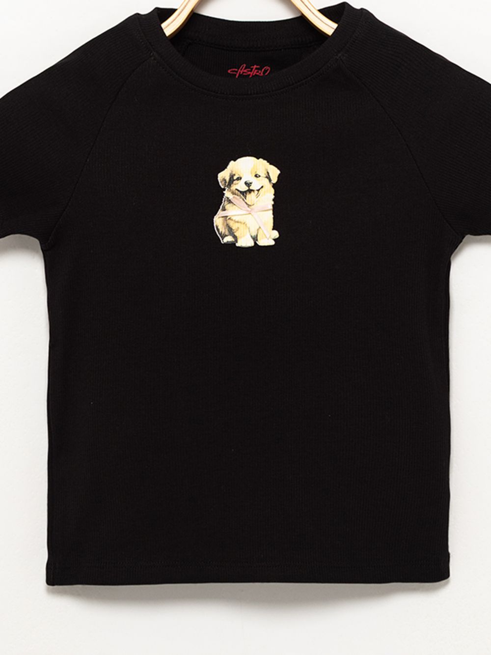 טי ריב עם דפוס