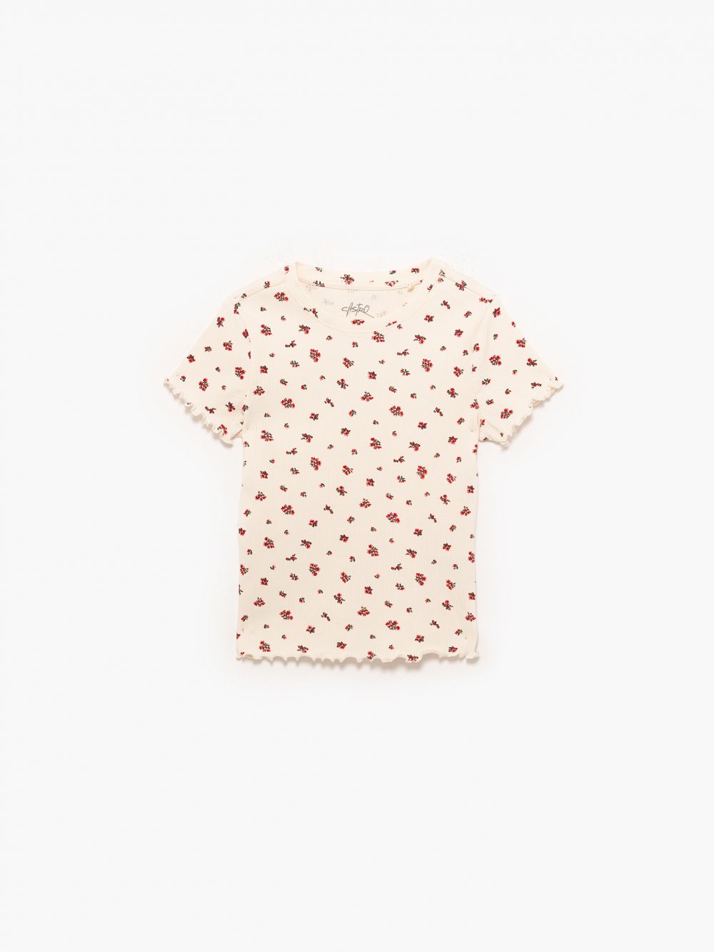 שלישיית ריב מודפסת 4Y-12Y