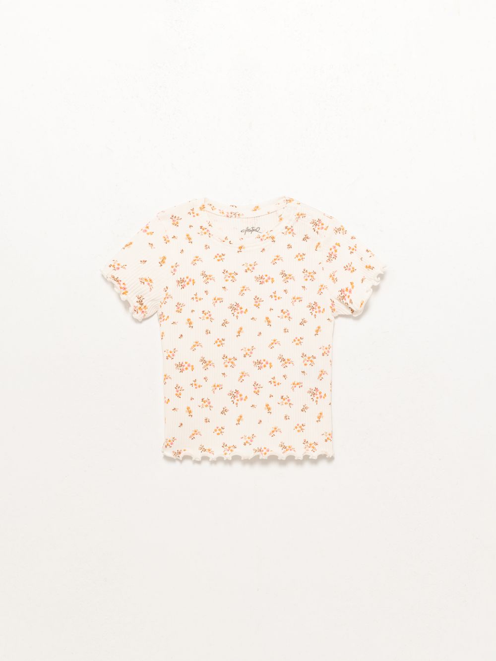 מארז ריב 6M-4Y