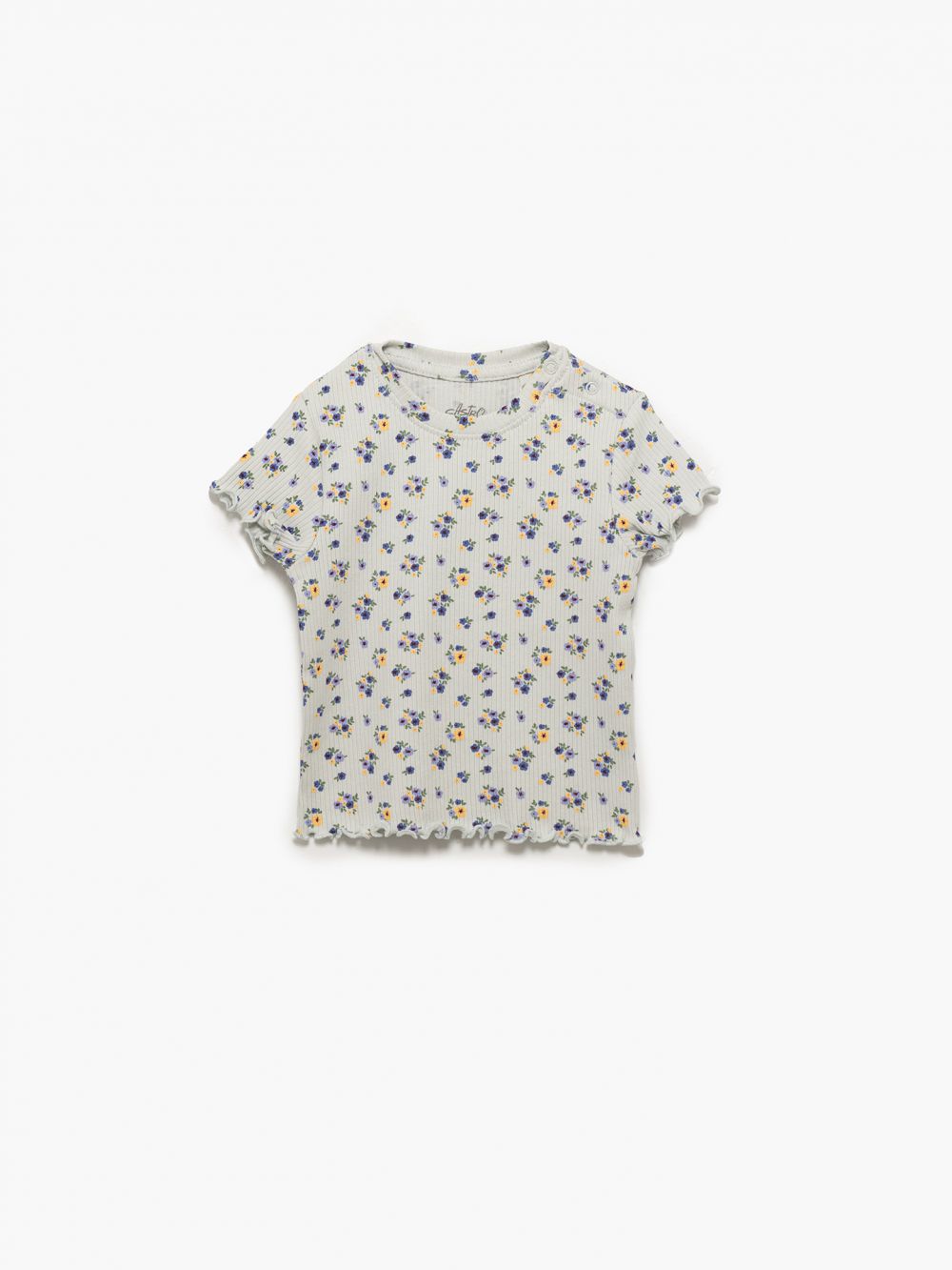 ריב מארז שלישייה 6M-4Y