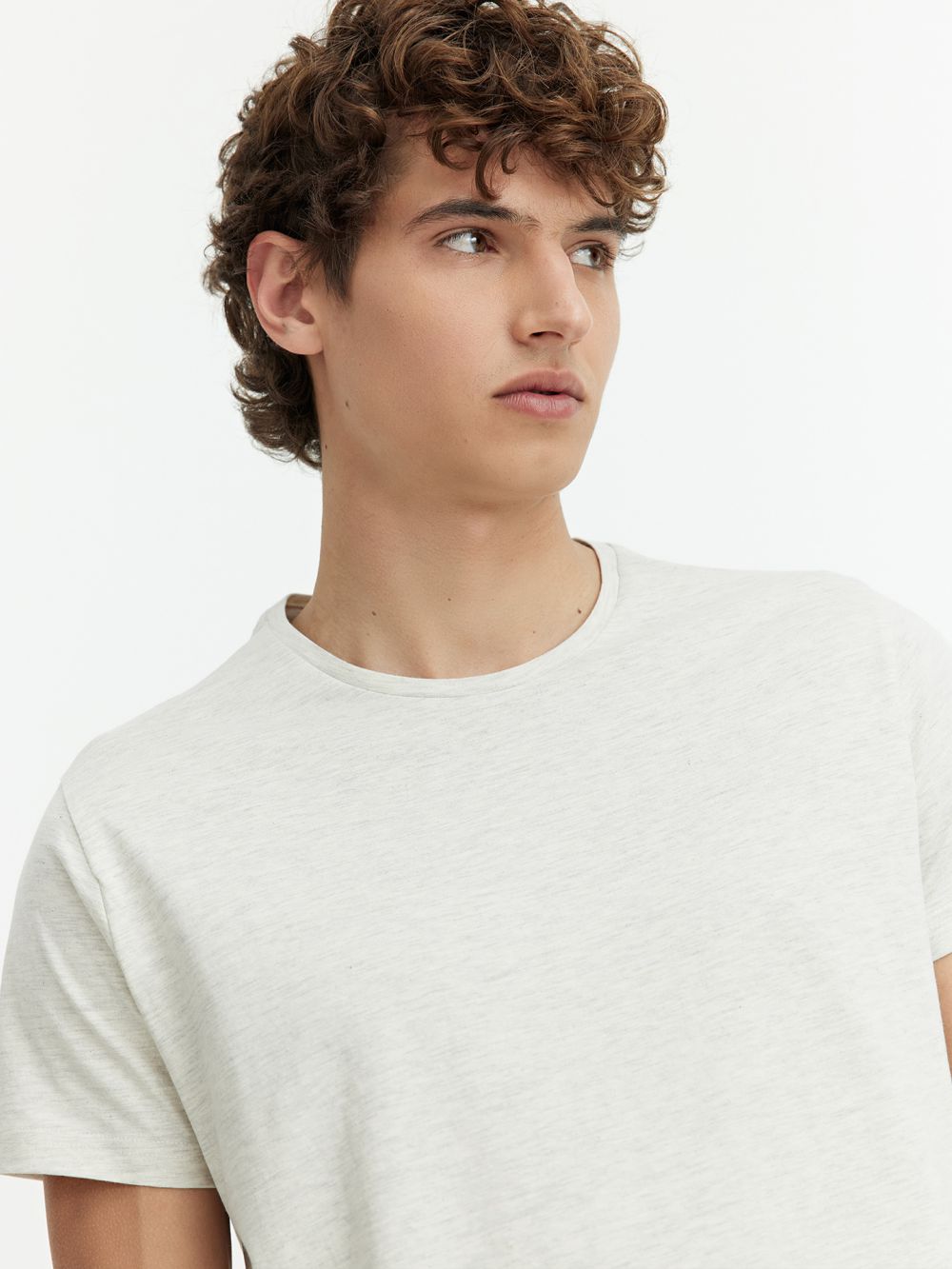 טי-שירט בייסיק Regular Fit