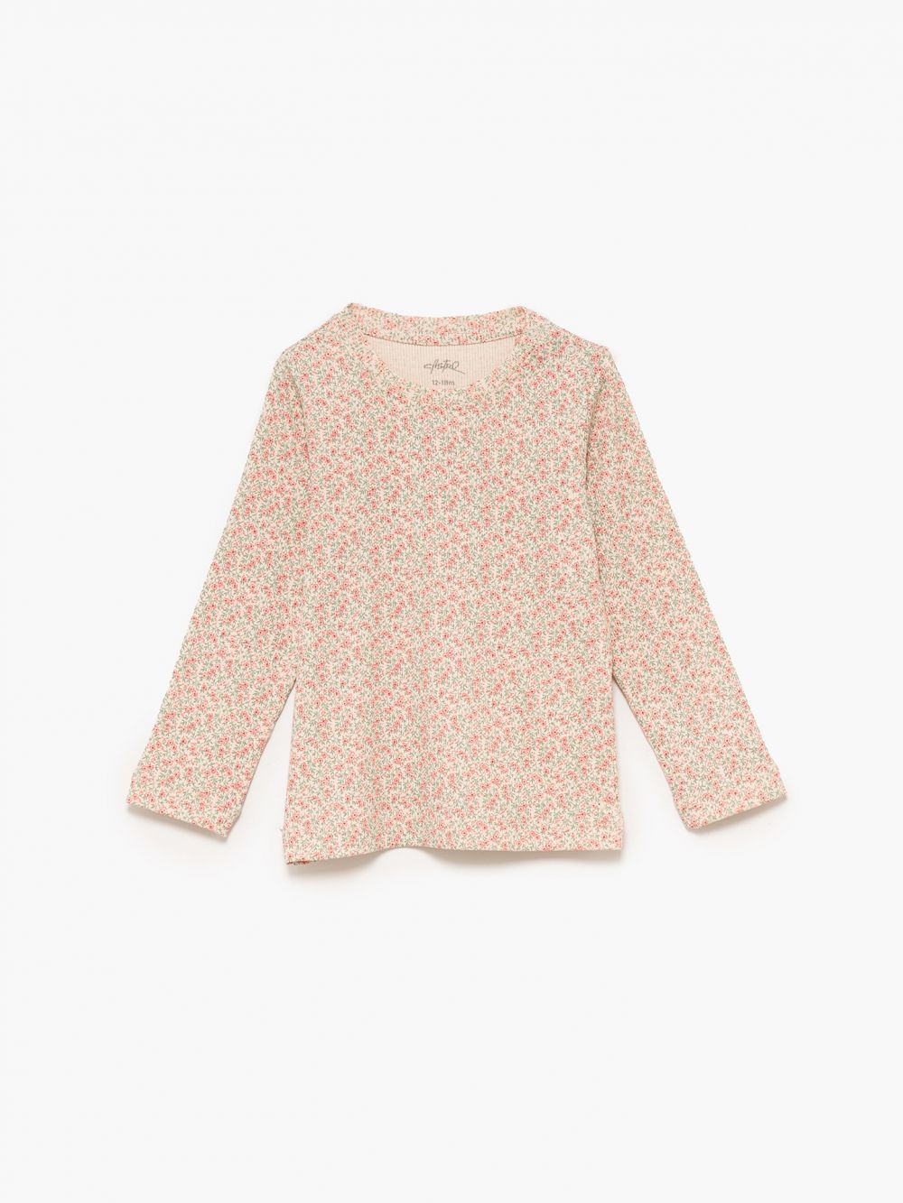 מארז ריב 6M-4Y