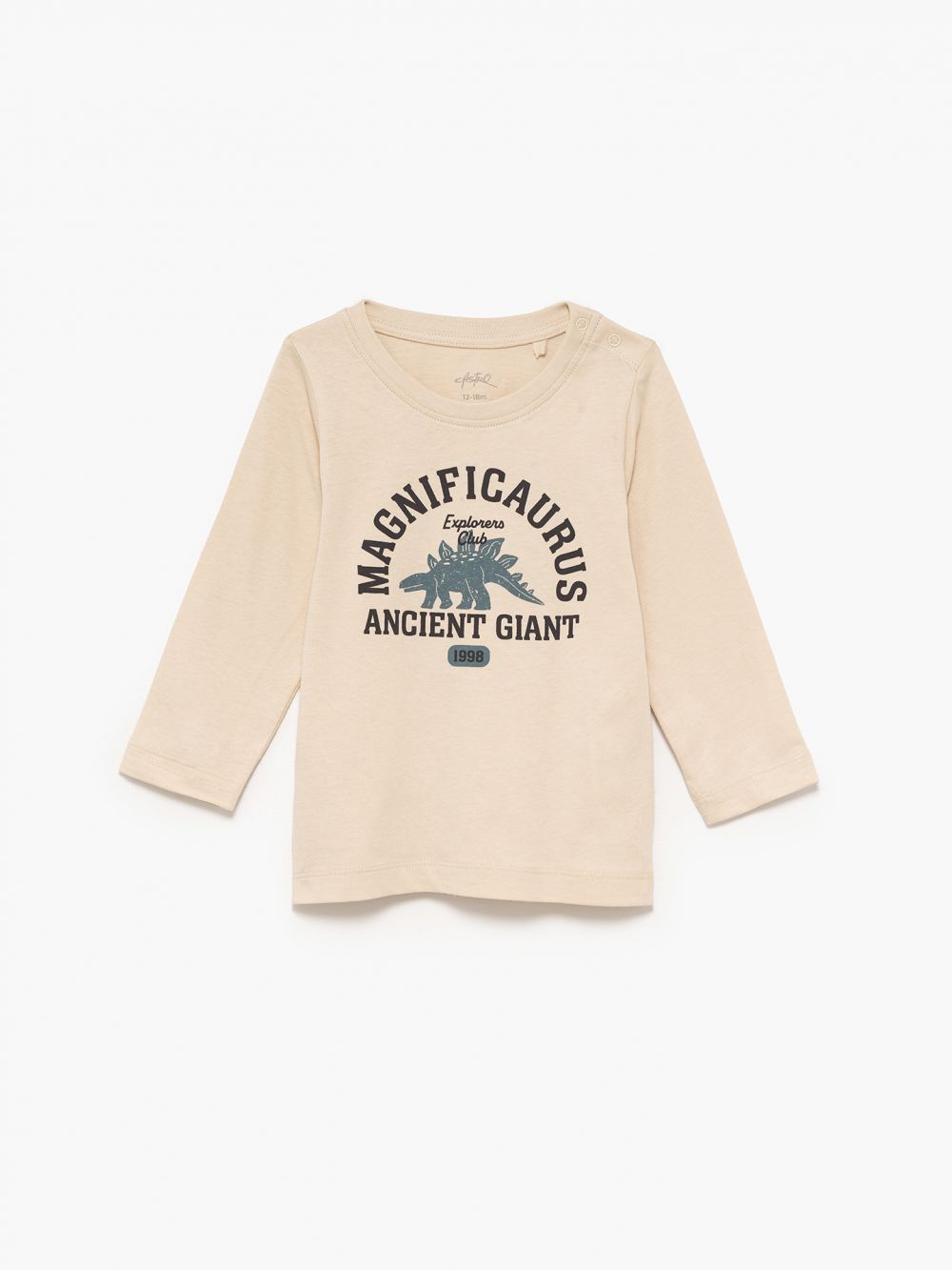 מארז חולצות ארוכות 6M-4Y