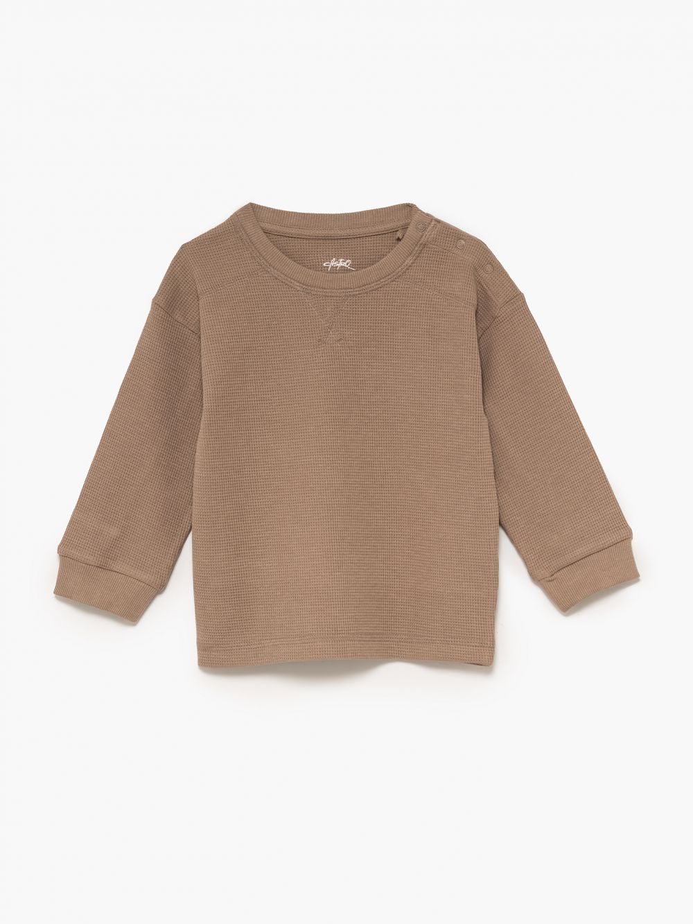 מארז וופל 6M-4Y