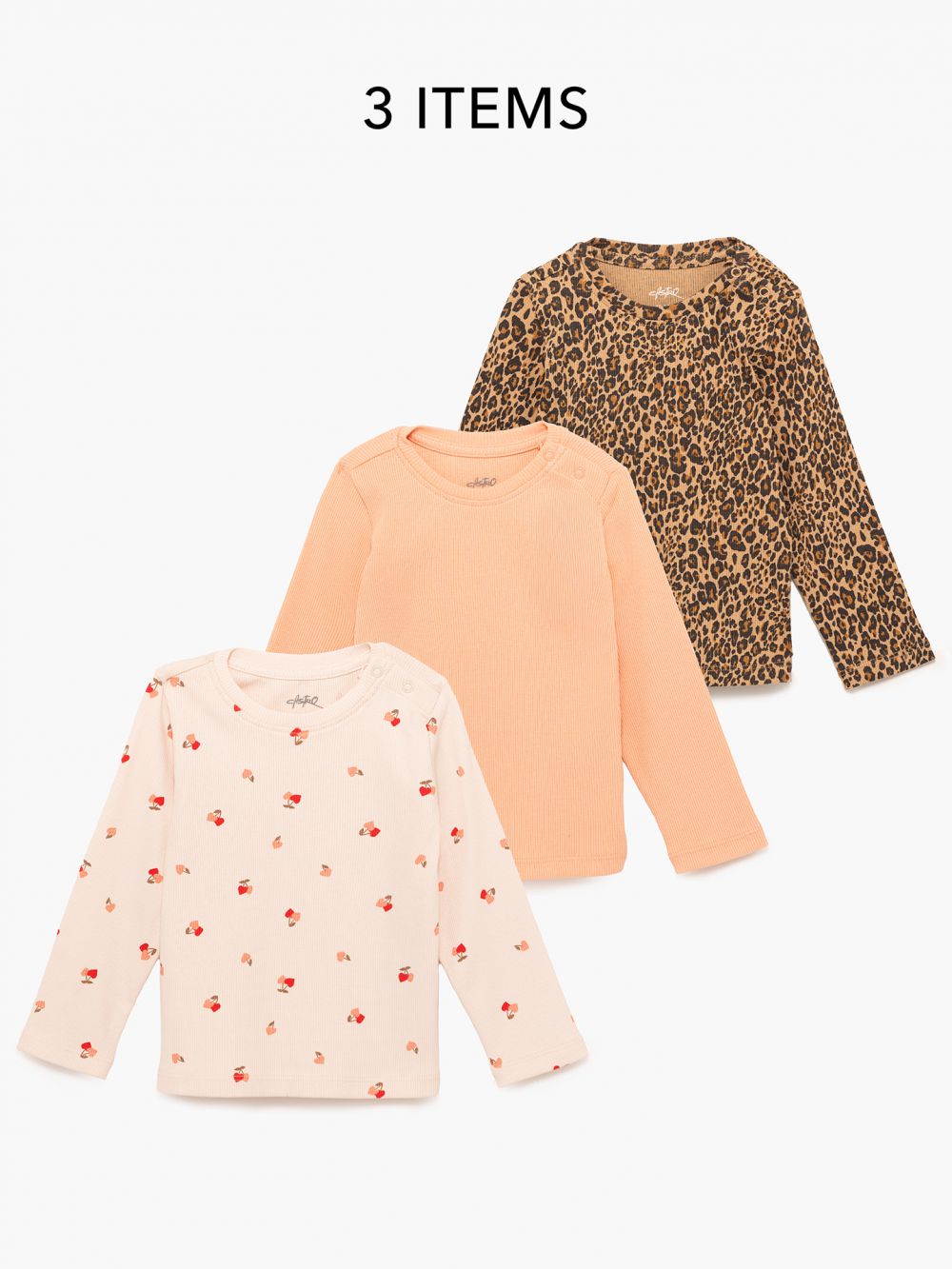 מארז ריב 6M-4Y