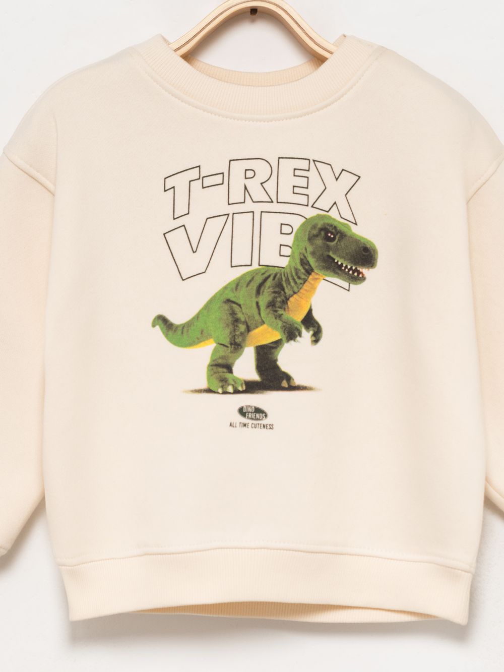 סווטשירט טי רקס