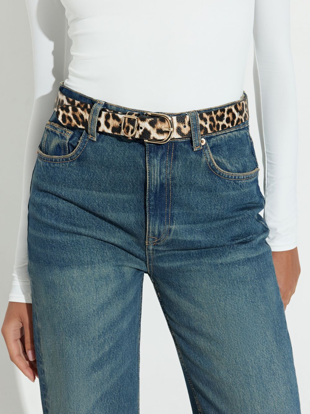 חגורה מנומרת