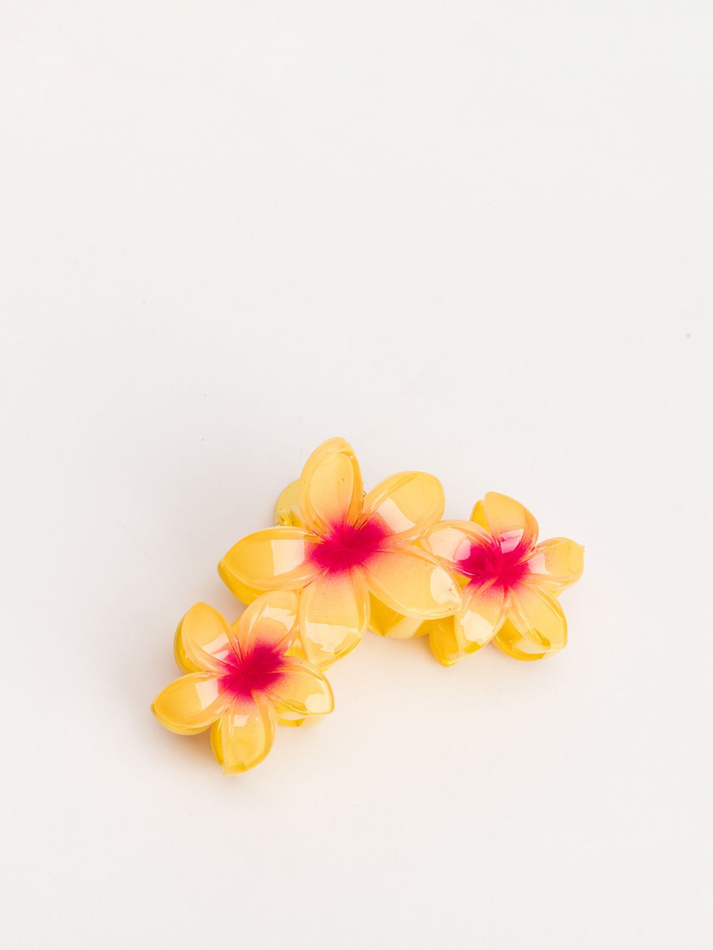 קליפס פרחים לשיער