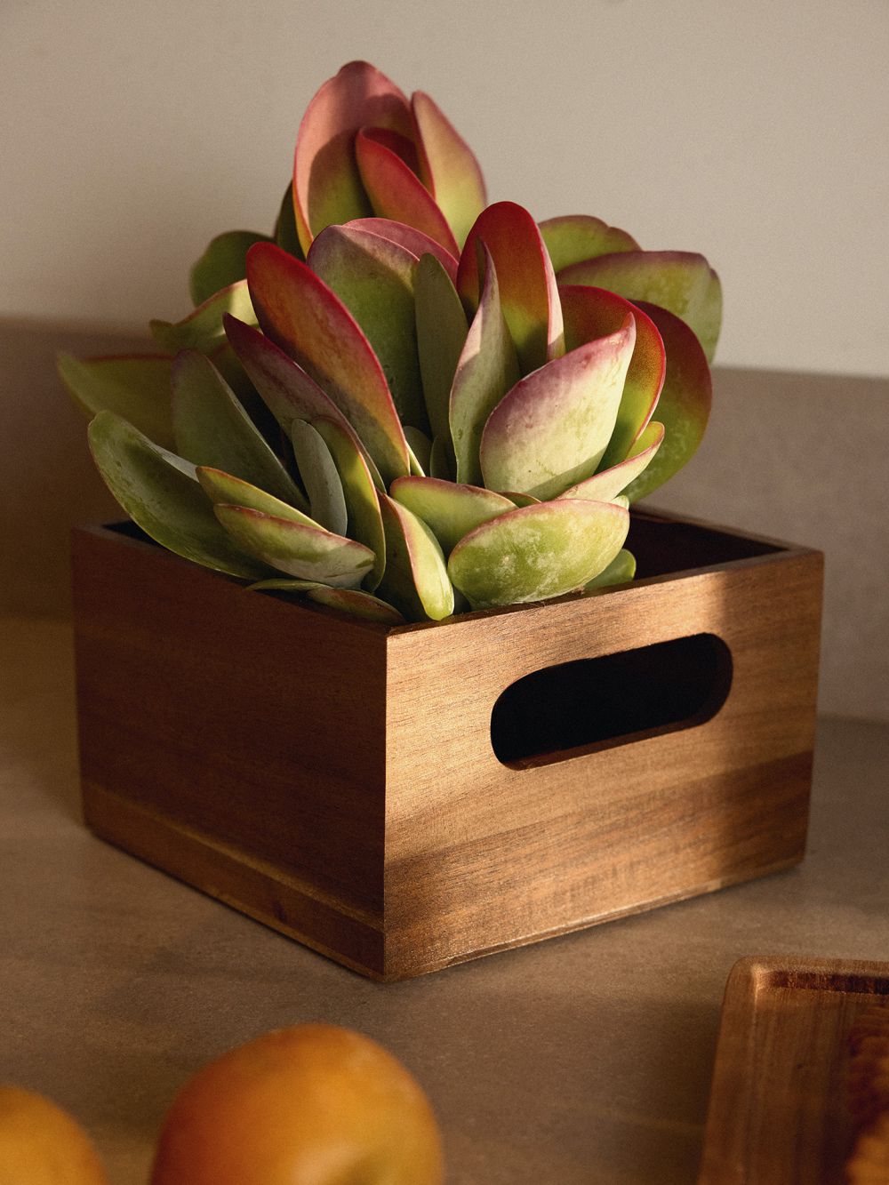 ארגז אחסון עץ השיטה 18X18 ס”מ