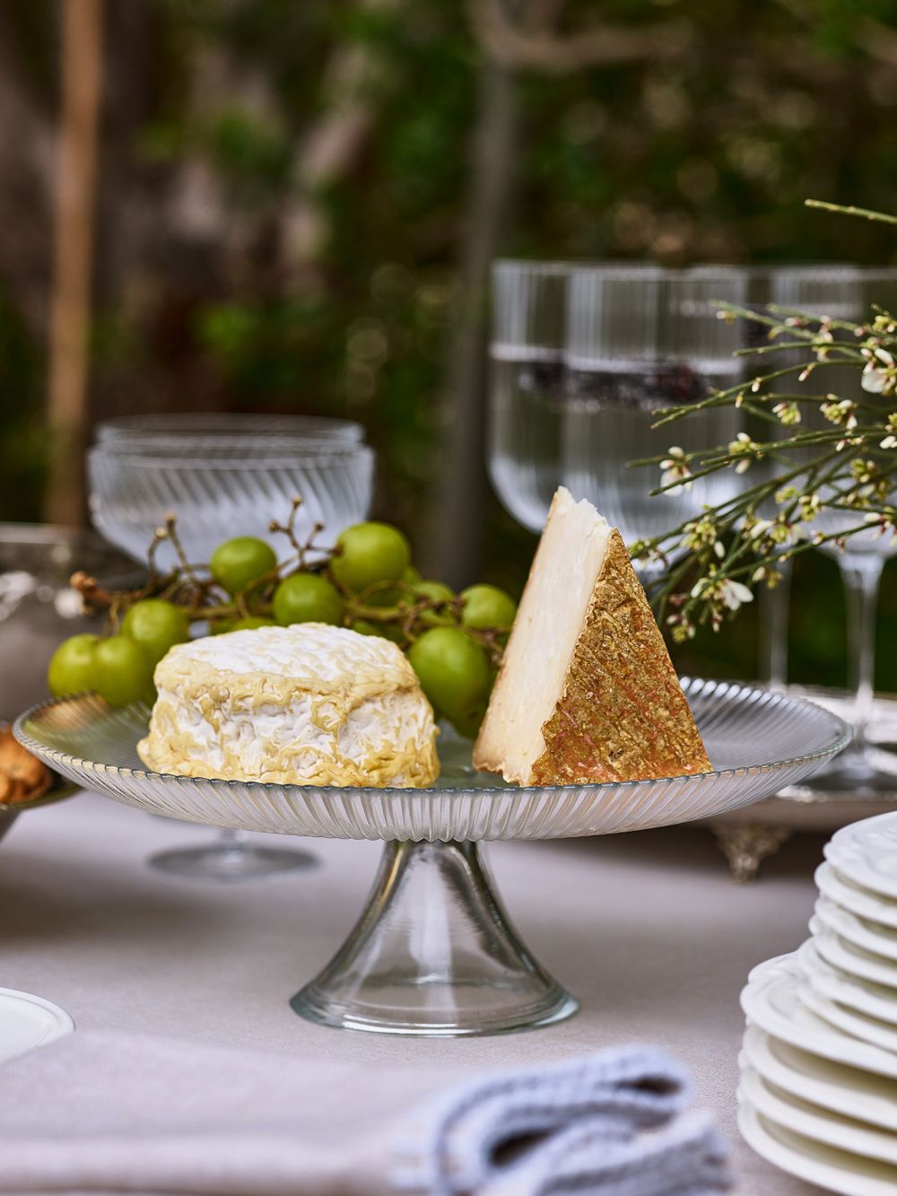 מעמד עוגה ARIEL