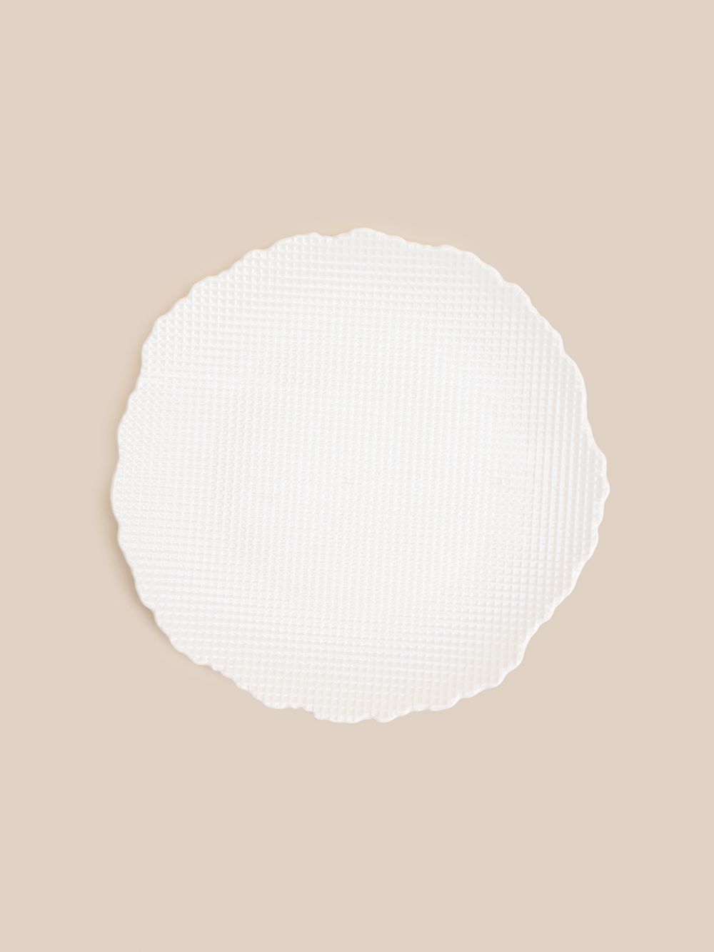 צלחת מנה עיקרית ארי 25.4CM