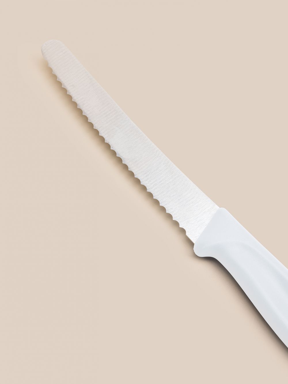 סכין משוננת עגולה