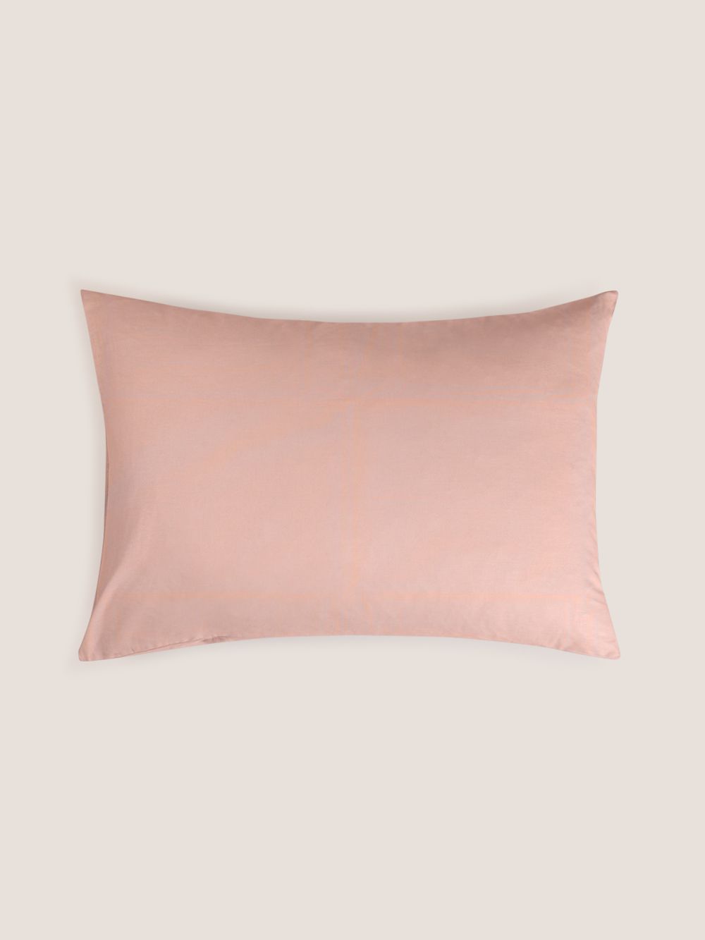 ציפית כותנה