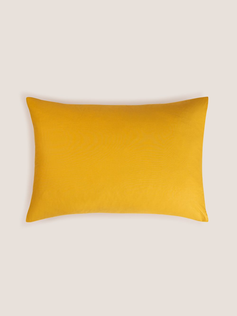 ציפית כותנה