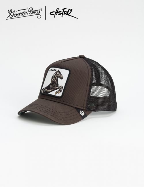 כובע מצחיה Goorin - Stallion