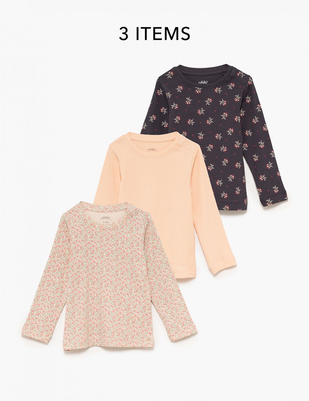 מארז ריב 6M-4Y