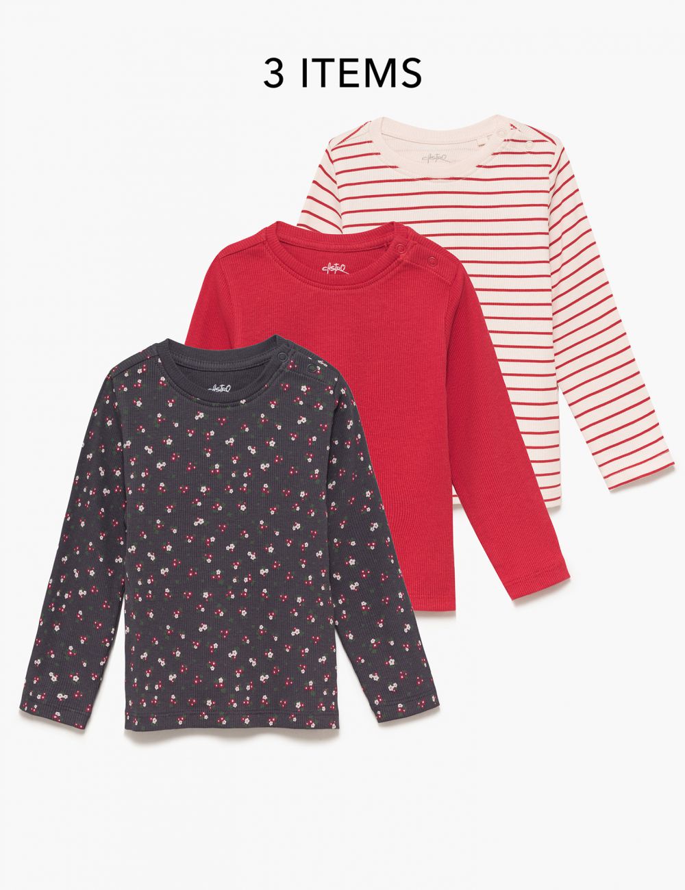 מארז ריב 6M-4Y