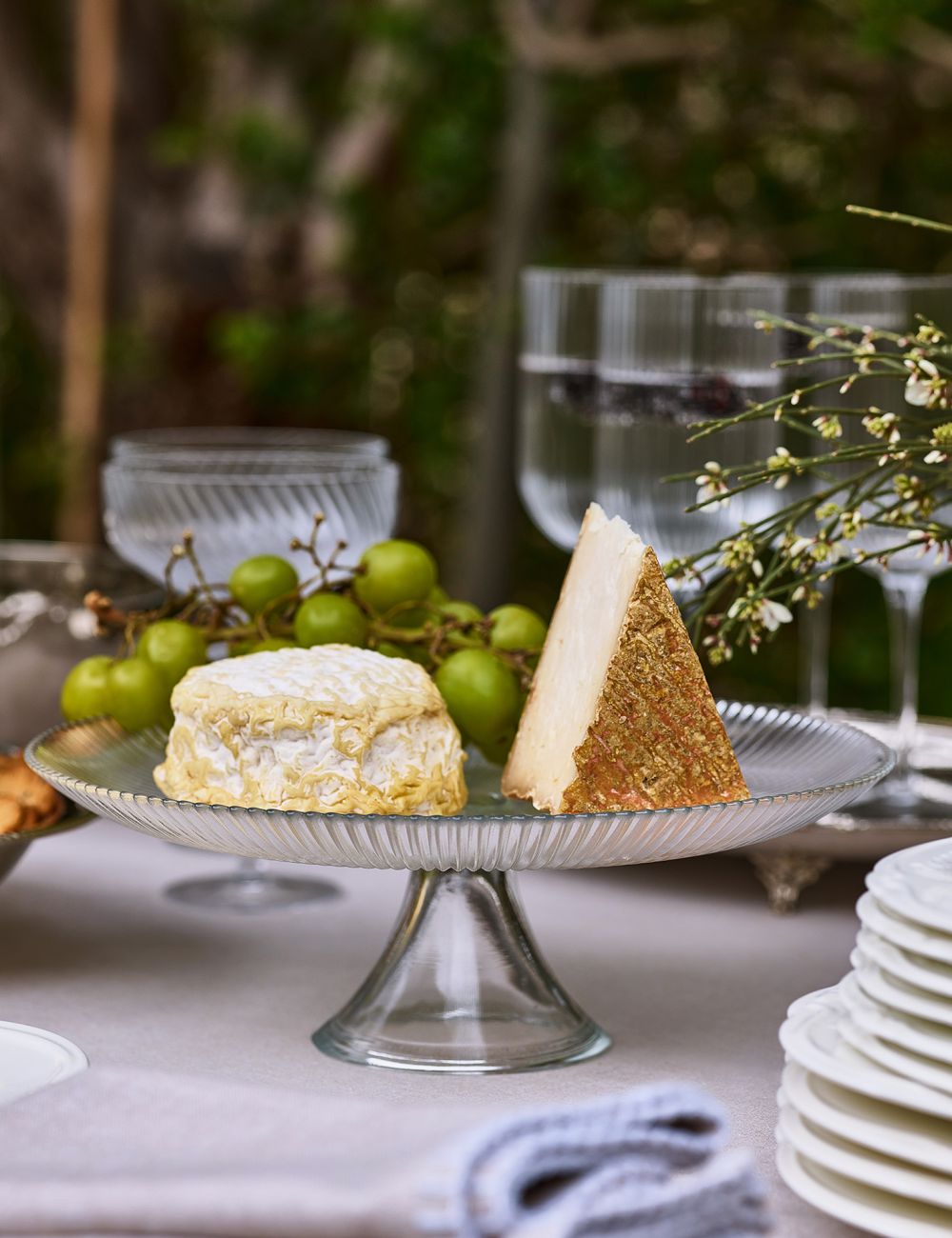 מעמד עוגה ARIEL