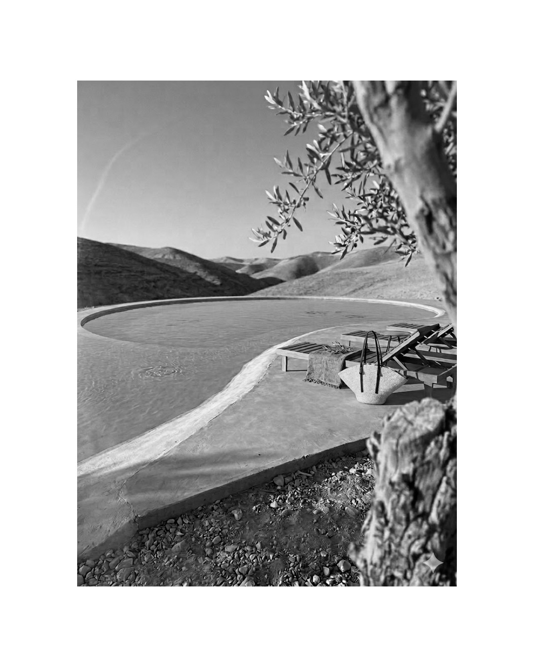 SUMMER MEMORIES | new collection