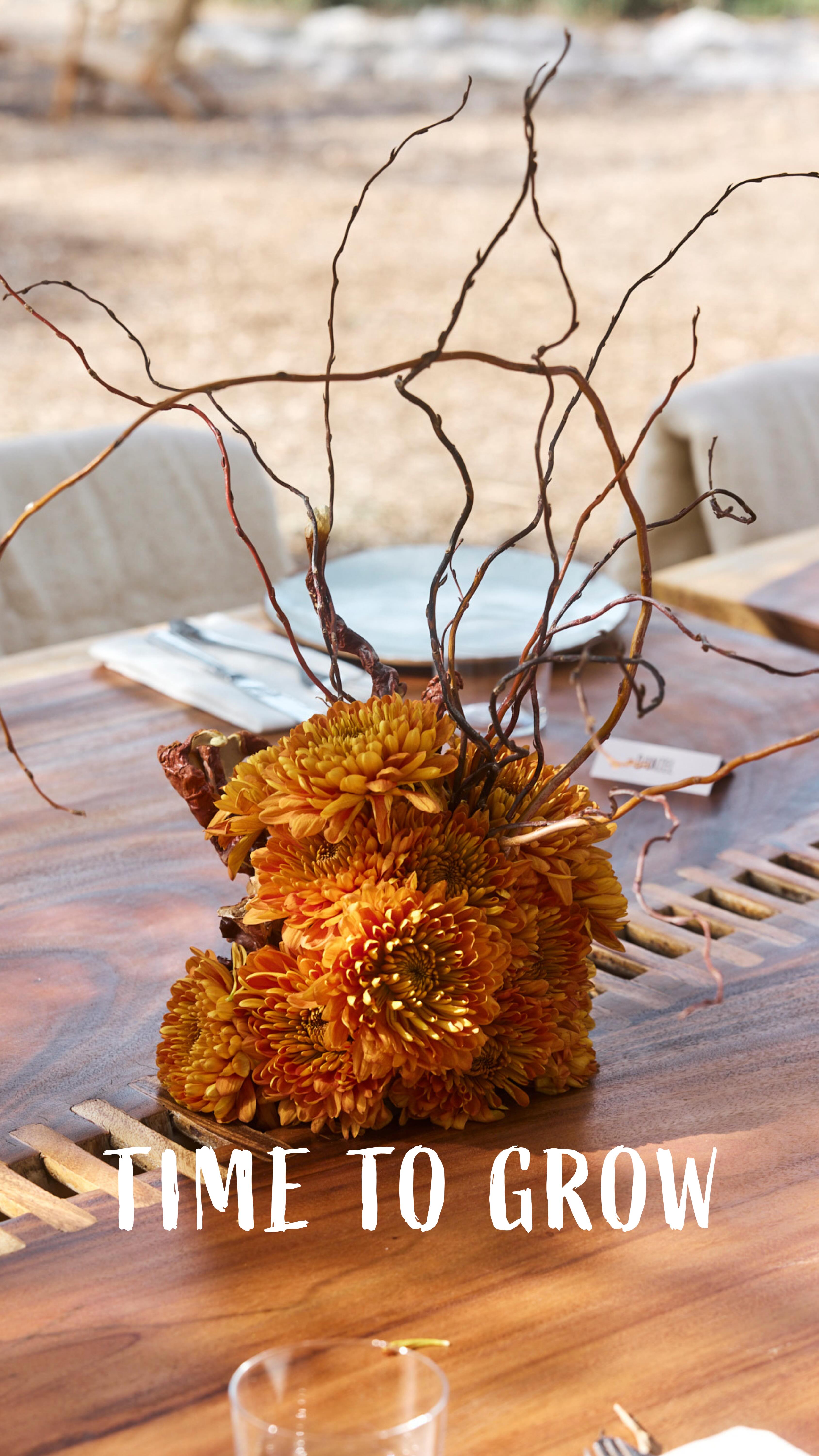 ROAD TRIP RECAP 🍄‍🟫